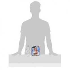 DC Comics Hot Wheels DC Universe The Flash Vehicle