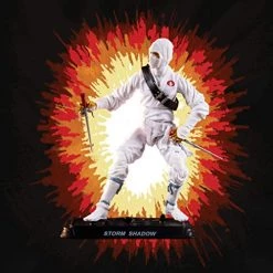 Hasbro G.I.Joe Stormshadow Action Figure 10 Cm
