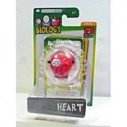 Toy Choo Choo Basher Science Biology - Heart STEM