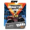 Spin Master Monster Jam Texas The Lone Star State Truck Series 1:64 Scale